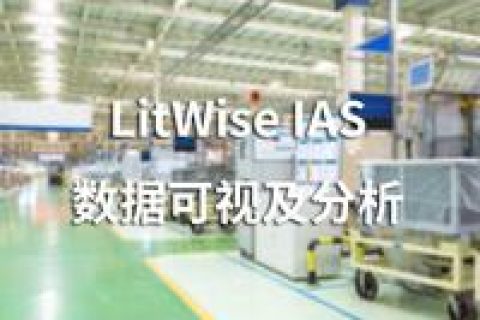 LitWise IAS数据可视及分析系统开发方案。