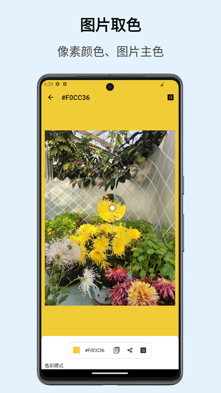 识色手机版下载