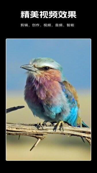 剪辑虎下载 v1.0.802 4