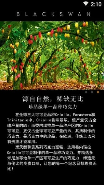 黑天鹅下载 v1.3 0