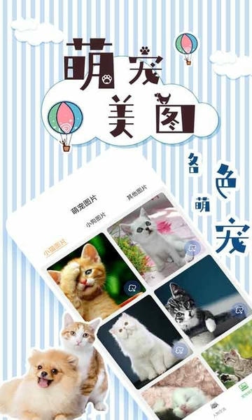 人猫翻译交流器下载 v1.9.6 4
