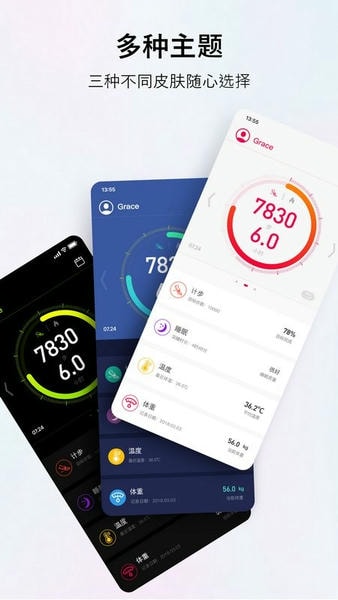 WoFit下载 v8.1.6.010510 2