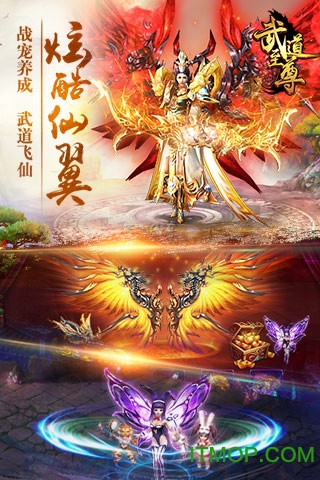 武道至尊h5 武道至尊h5